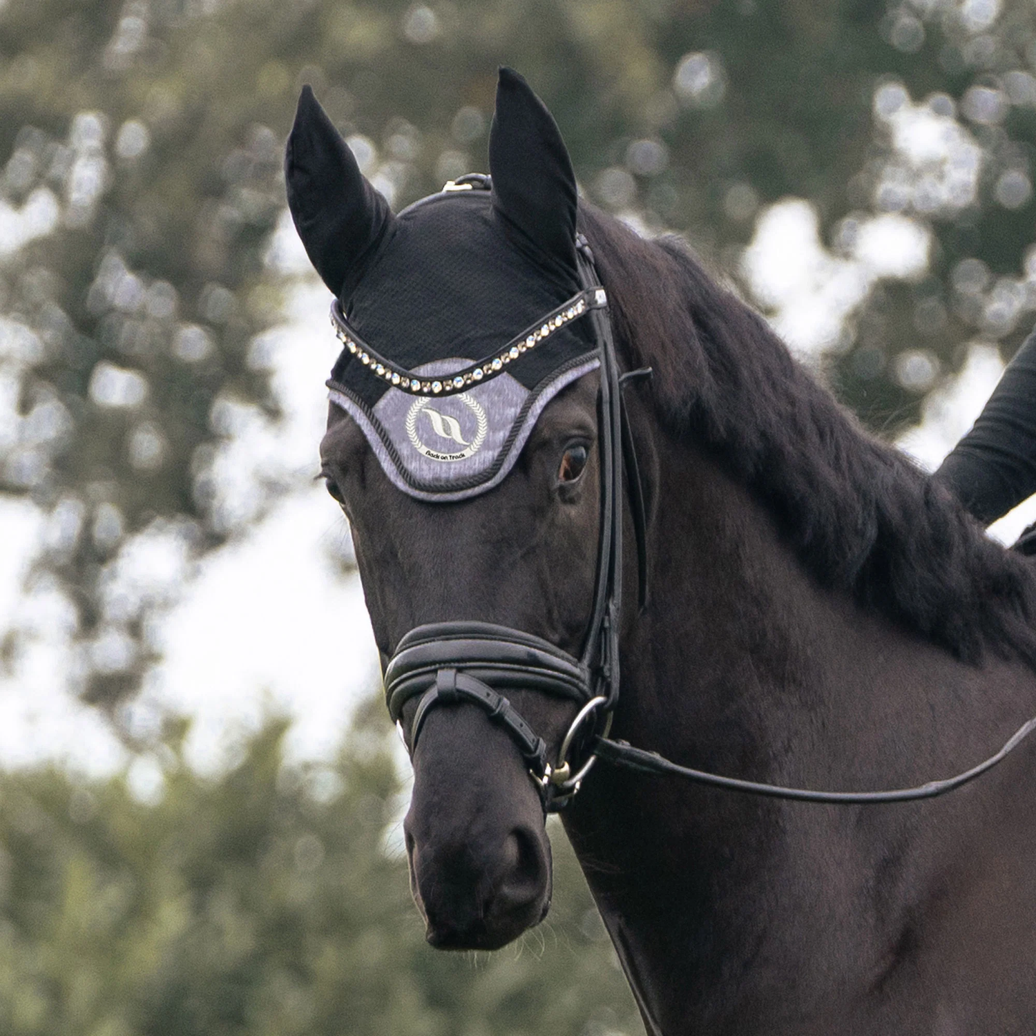 Meilleurs prix pour Bonnet anti-mouches pour cheval Back on Track Haze - noir/gris - Full