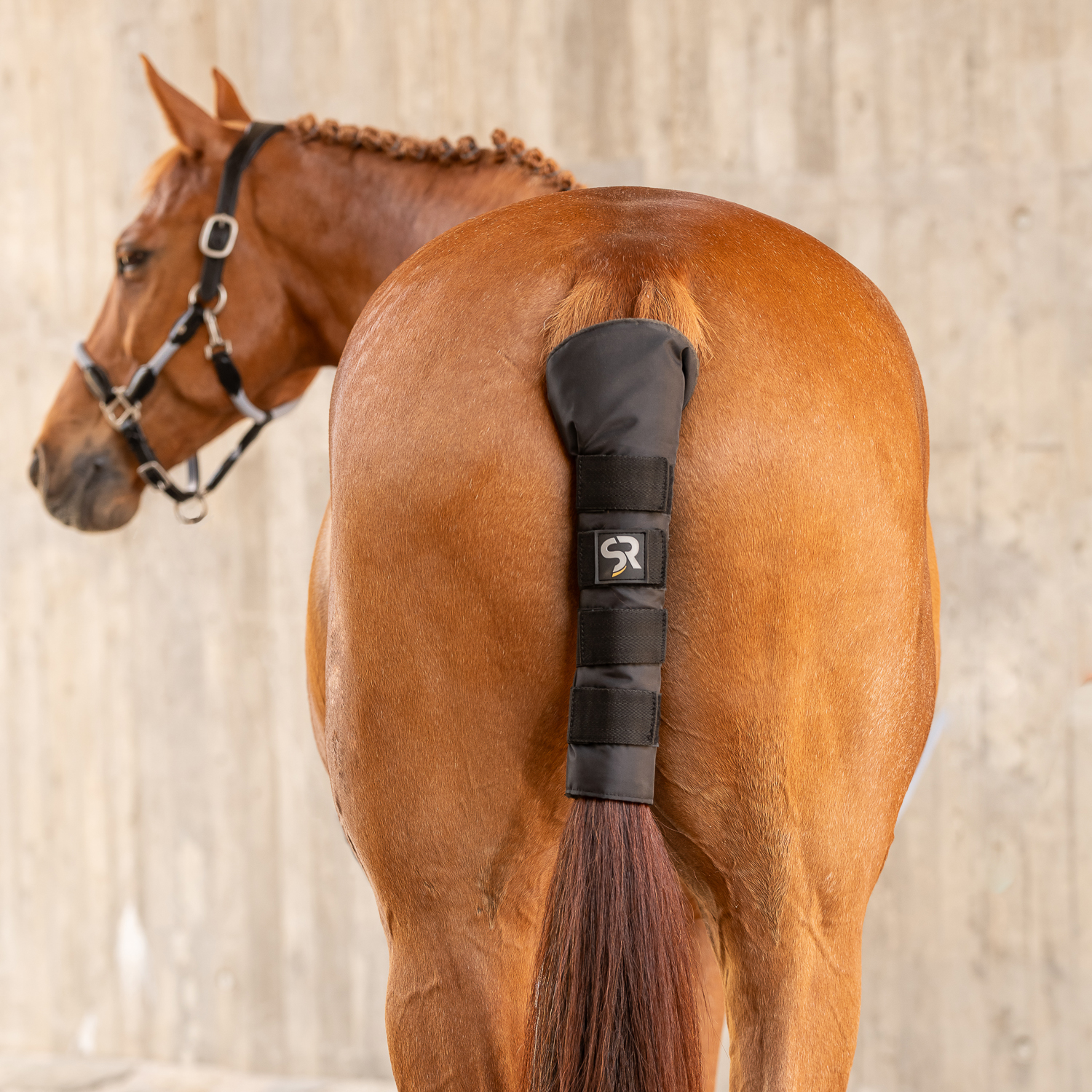 Comparer les prix de Protège-queue Sunride