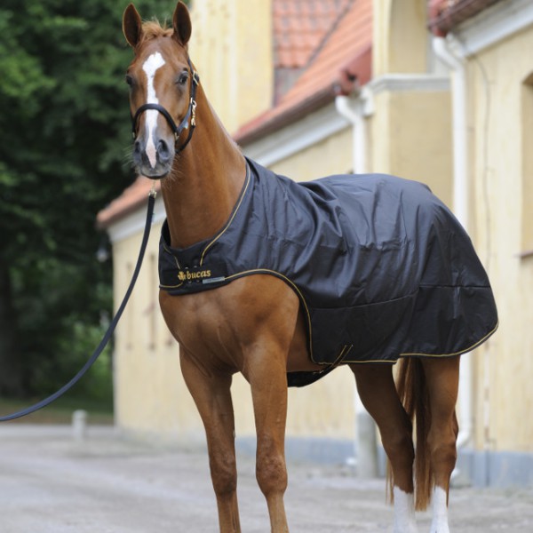 Bucas Irish Walker Rug 50g blackgold HorSeven