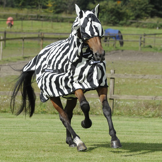 Meilleurs prix pour Bucas Buzz-Off Full Neck - Zèbre