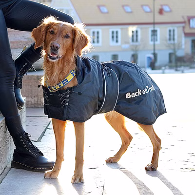 Back on Track Standardmantel - Hundedecke - L (63cm - 78cm)