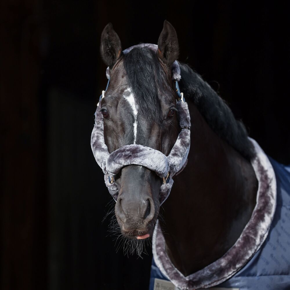 Meilleurs prix pour Bucas Show-Line Full Fur Halter