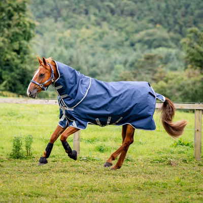 Horseware Amigo Bravo 12 Plus Bundle 50g + 100g und 200g Liner