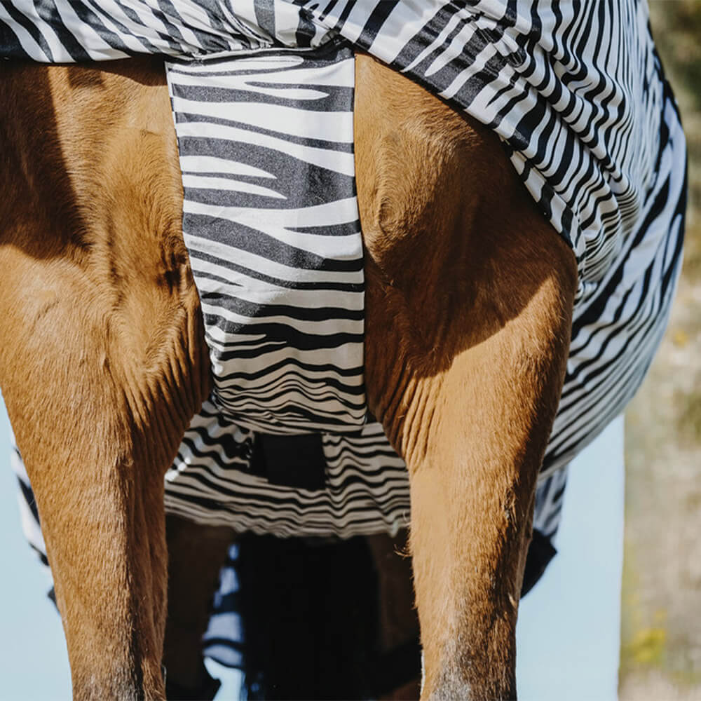 Meilleurs prix pour Couverture anti-eczéma Equithème Riding World Zebra