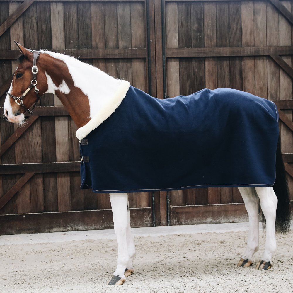 Chemise séchante pour cheval Kentucky
