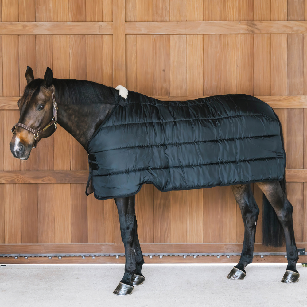 Couverture d'extérieur pour cheval Kentucky 300g