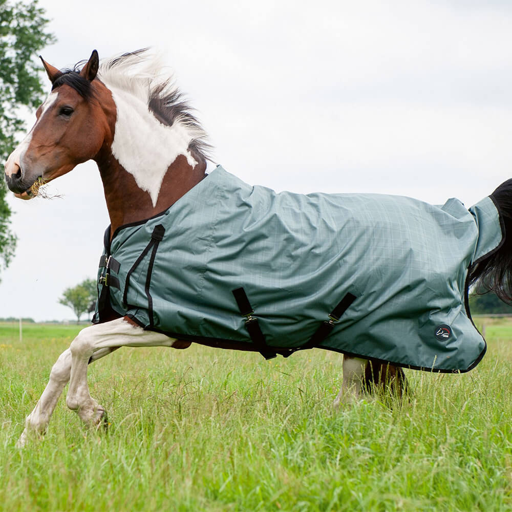 HKM Profi-Ausreitdecke Grün – Einheitsgröße Mit Riding-Cut, Klettverschluss & Schweifriemen
