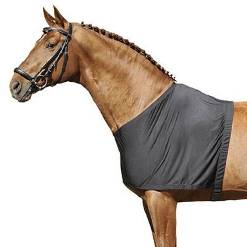 Comparer les prix de HKM Brustscheuerschutz