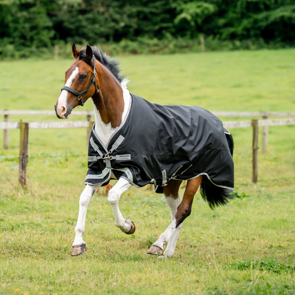Horseware Amigo Bravo 12 XL Original Med 250g