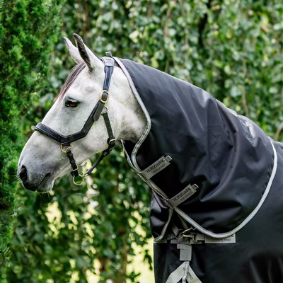 Horseware Amigo Bravo 12 XL Hood 150g