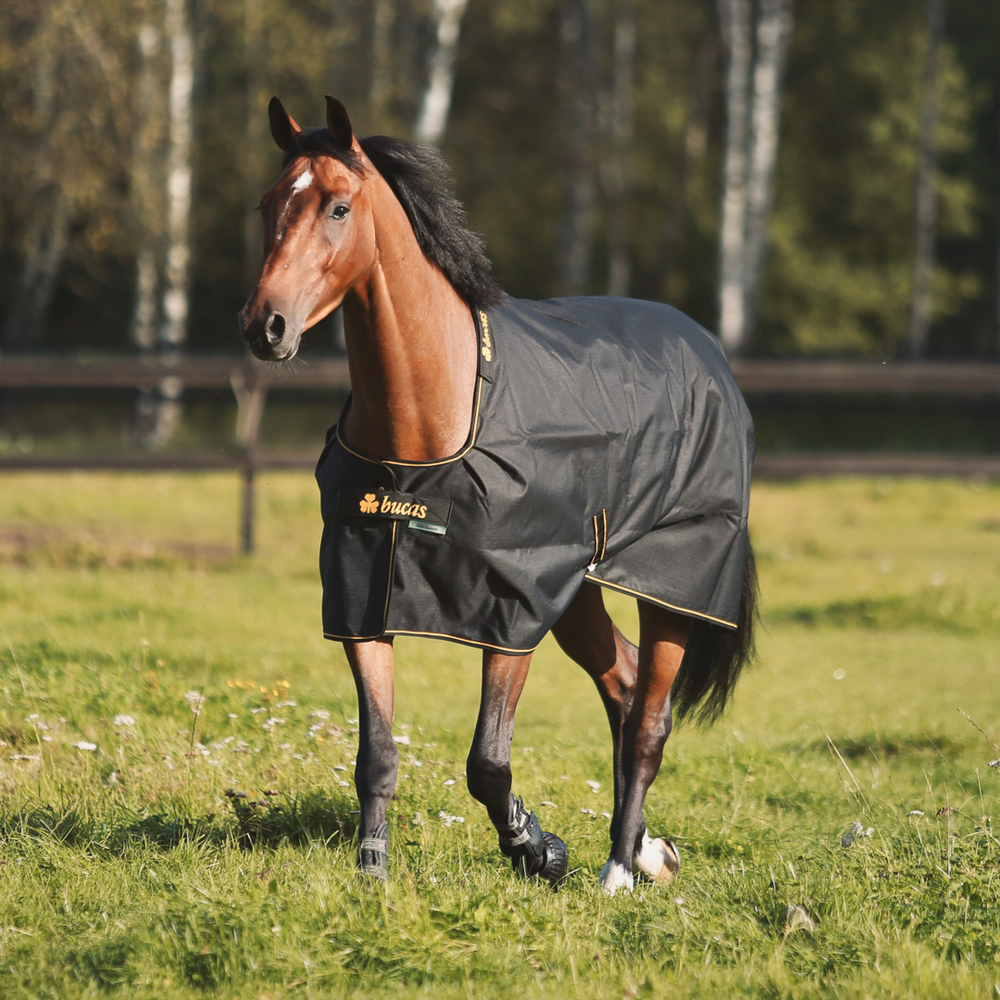 Comparer les prix de Bucas Irish Turnout 100g