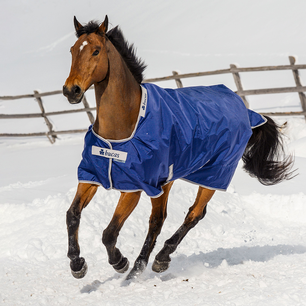 Meilleurs prix pour Couverture d’extérieur Bucas Atlantic Turnout Big Neck...