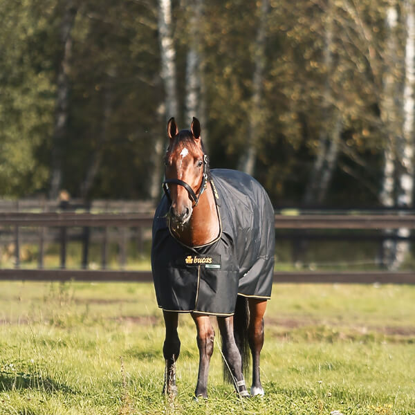 Meilleurs prix pour Bucas Irish Turnout 250g