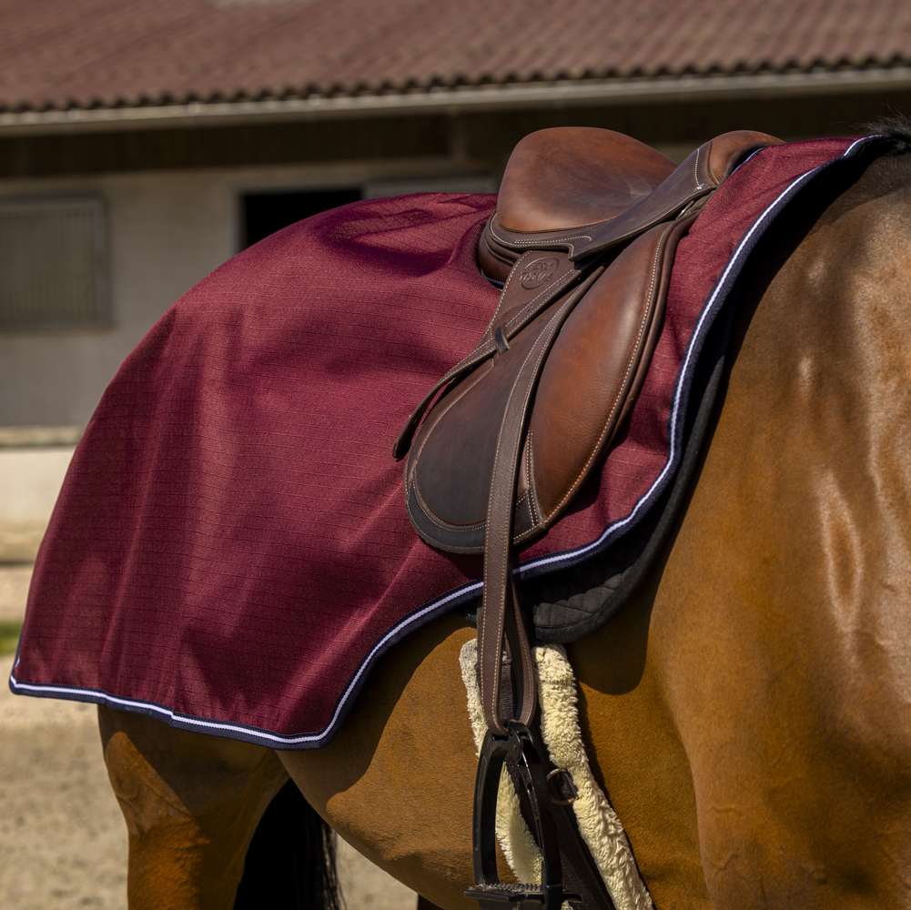 Comparer les prix de Couvre-reins Equithème Tyrex 1200D Polaire