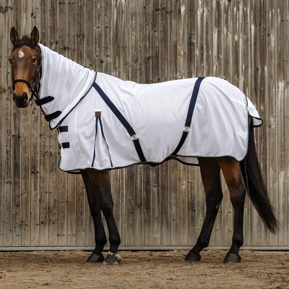 Meilleurs prix pour Equithème Mesh Combo couverture anti-mouches