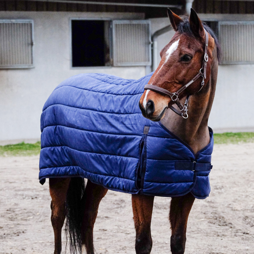 Comparer les prix de Sous-couverture pour cheval Equithème Classic