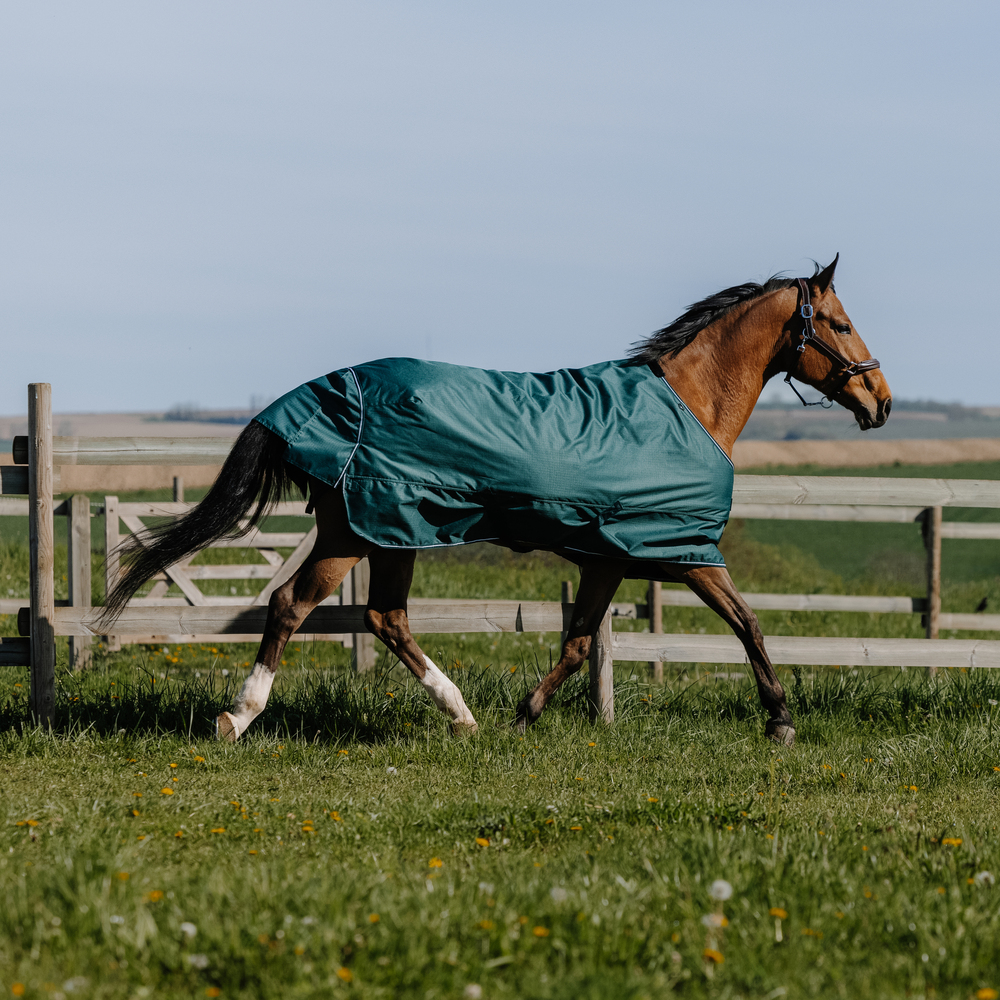 Comparer les prix de Equithème Tyrex 600D couverture d’extérieur 0 g