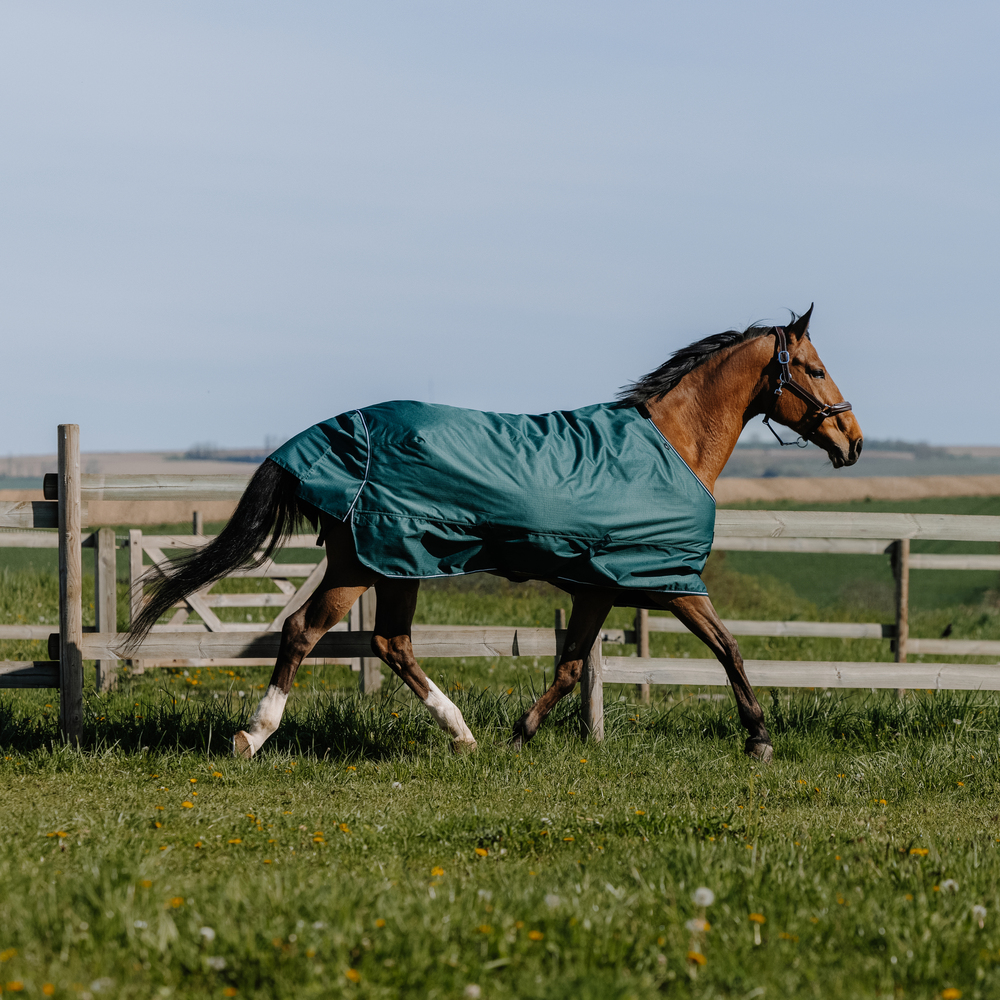 Meilleurs prix pour Couverture d'extérieur pour cheval Equithème Tyrex 600D 150g