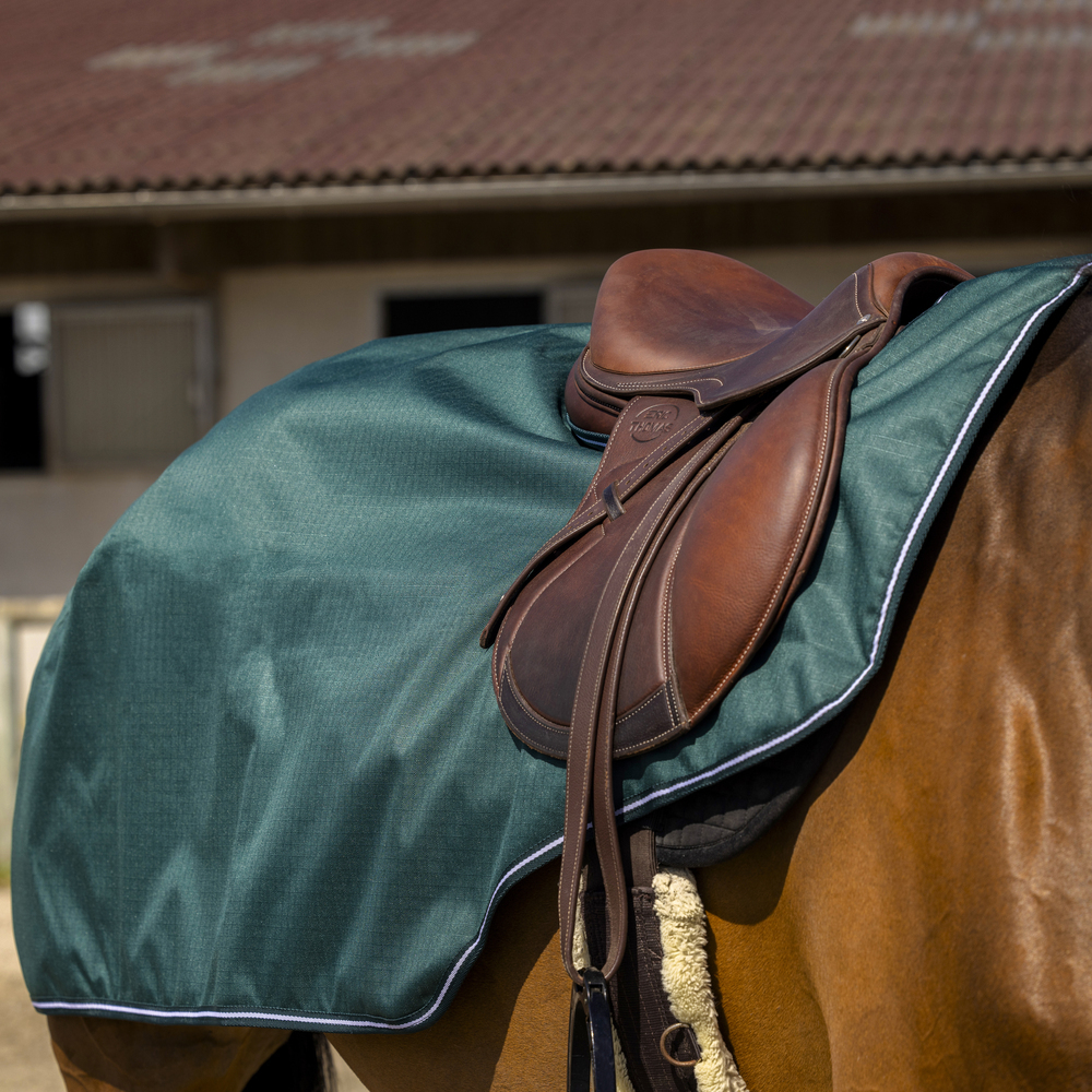 Comparer les prix de Couvre-reins pour cheval Equithème Tyrex 600D