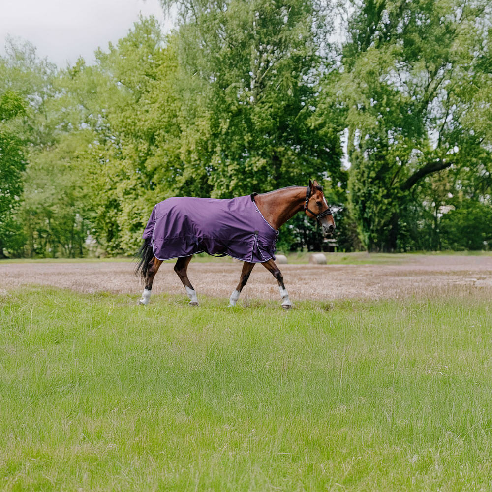 Meilleurs prix pour Equithème Tyrex Aisance 600D Couverture d’extérieur 50g