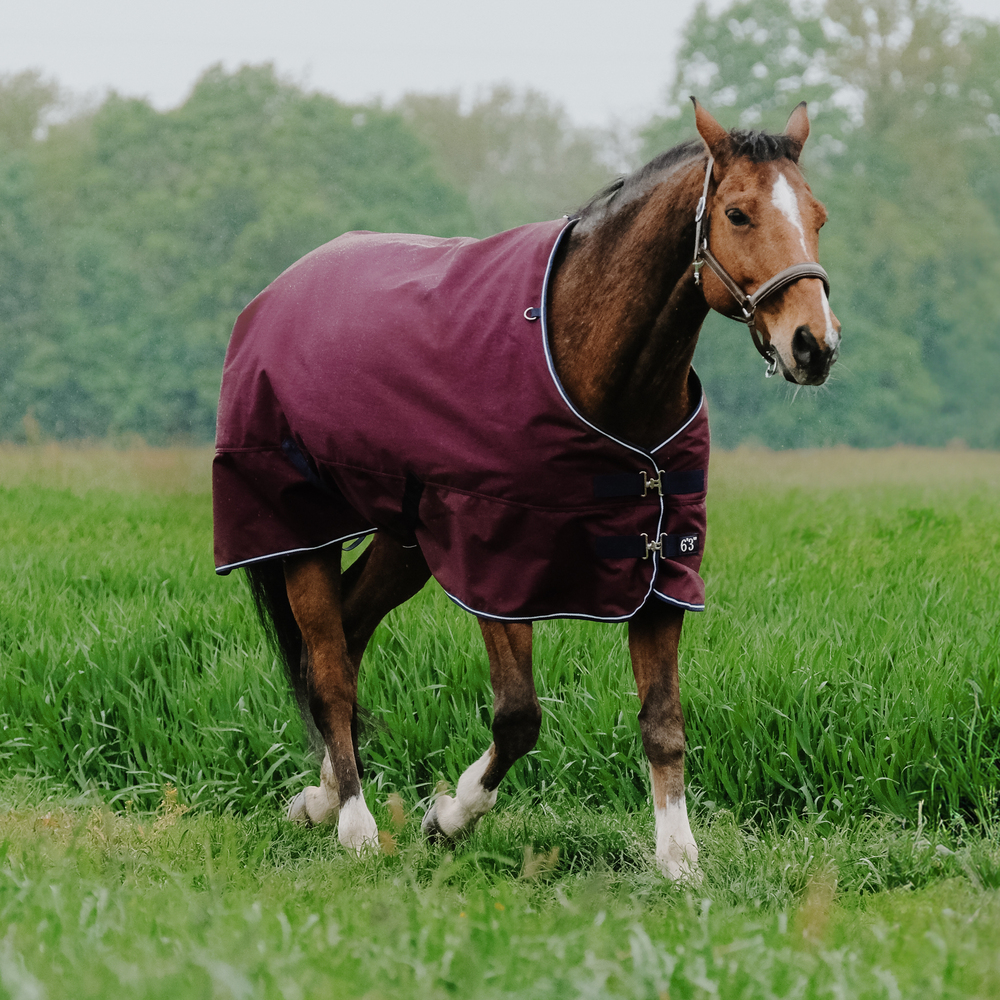 Meilleurs prix pour Equithème Tyrex 1200D couverture d’extérieur 0 g