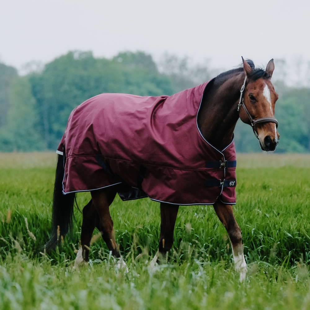 Meilleurs prix pour Couverture d'extérieur pour cheval Equithème Tyrex 1200D 0g High Neck