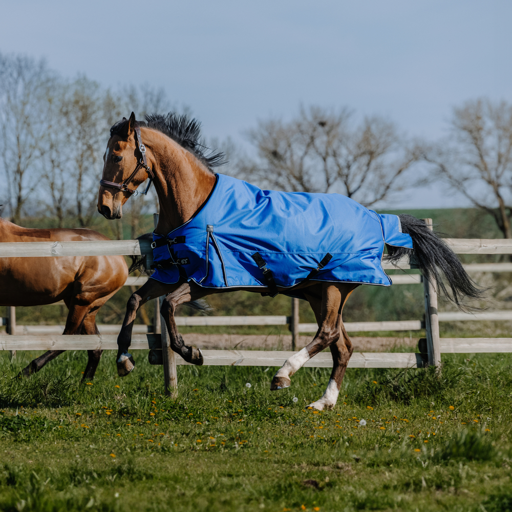 Meilleurs prix pour Couverture d'extérieur pour cheval Equithème Tyrex Aisance 1200D 150g