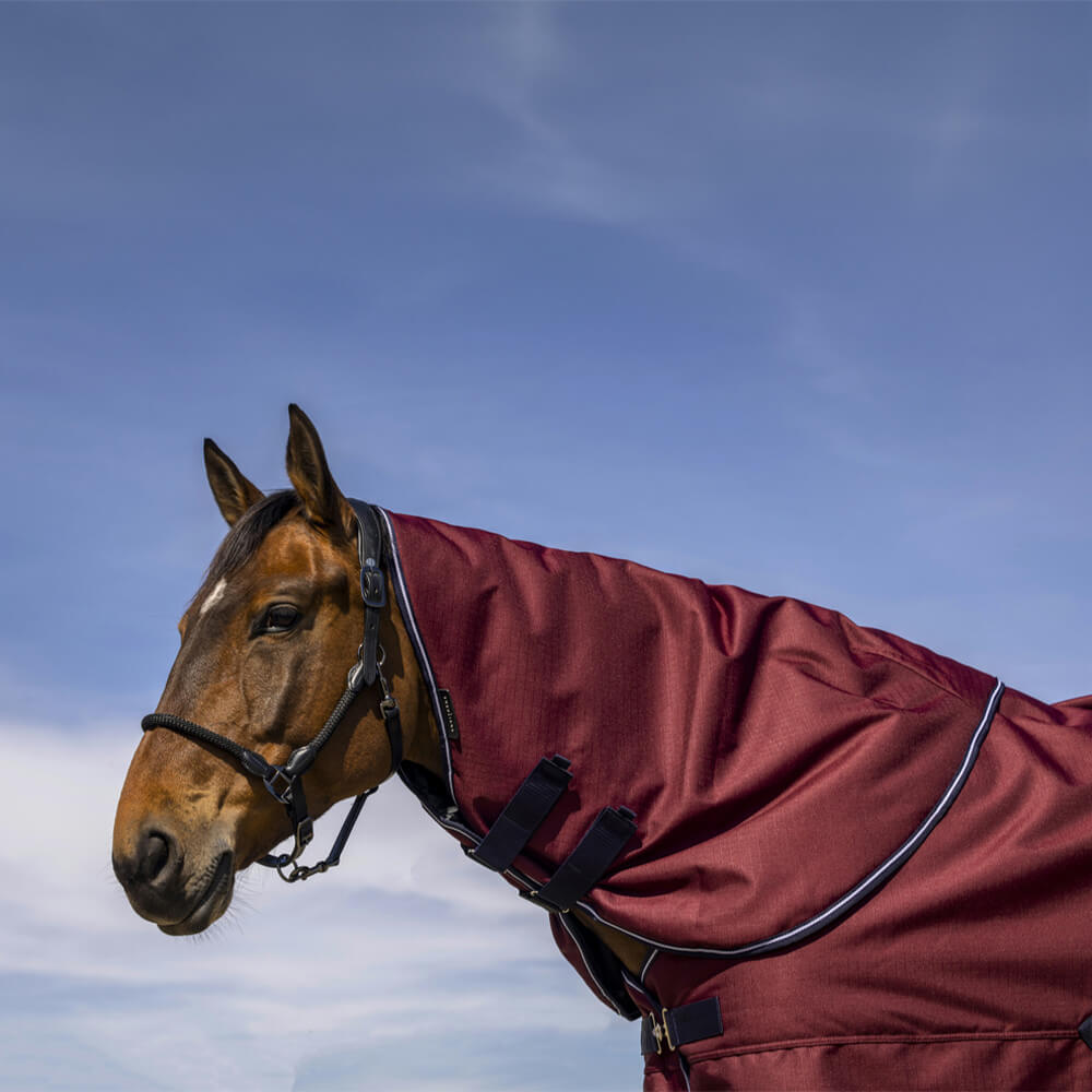 Couvre-cou pour cheval Equithème Tyrex 1200D 200g