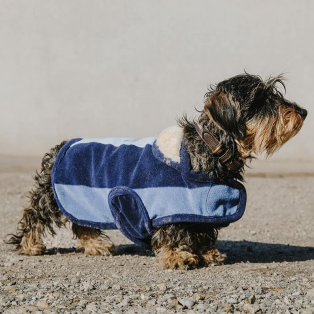 Meilleurs prix pour Equithème New Market – Manteau pour chien