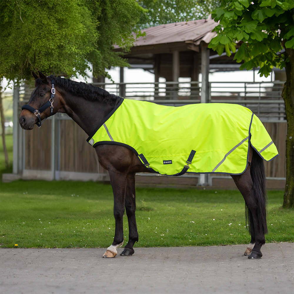 Meilleurs prix pour Couverture d’entraînement Busse SHINE 50
