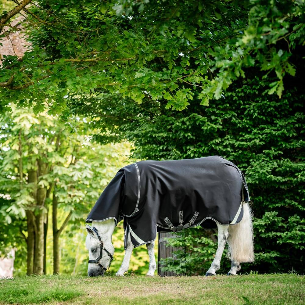 Meilleurs prix pour Horseware Rambo 1680D Plus Turnout 100g