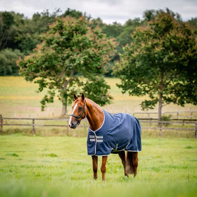 Horseware Amigo Ripstop 900D Turnout 200g