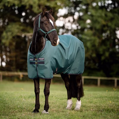 Horseware Amigo Ripstop 900D Pony Turnout 100g