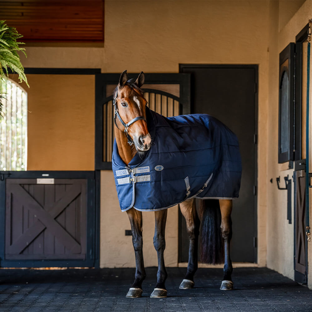 Meilleurs prix pour Horseware Rhino Stable 100g