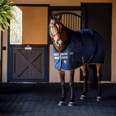 Horseware Rhino Stable 350g VL