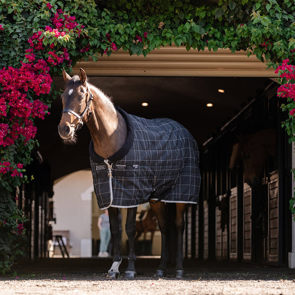 Tapis De Turnout Horseware Rhino Pony – 250g, Poids Moyen, Imperméable, Bleu Marine, Tailles 3'9 à 5'9