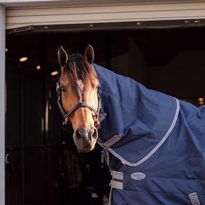 Horseware Rhino Stable Hood 200g