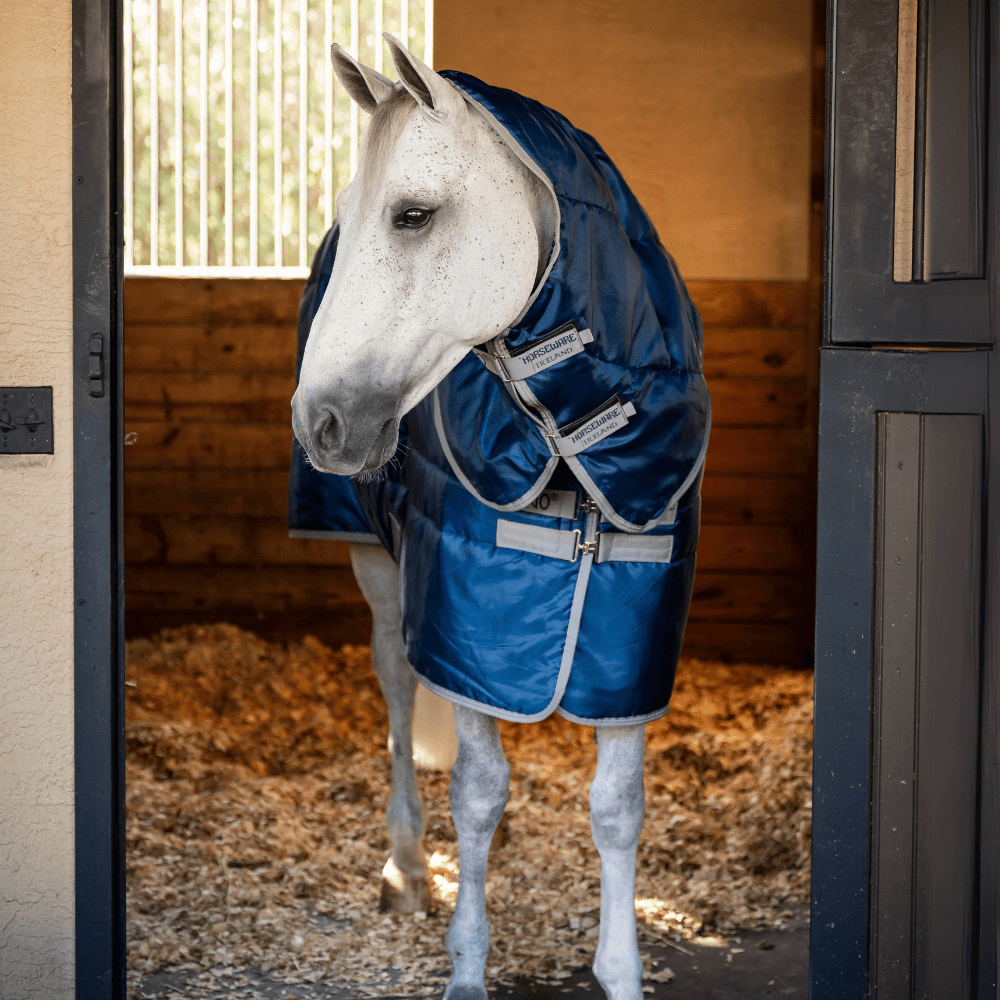 Comparer les prix de Horseware Amigo Ripstop Insulator Plus Stable 200g