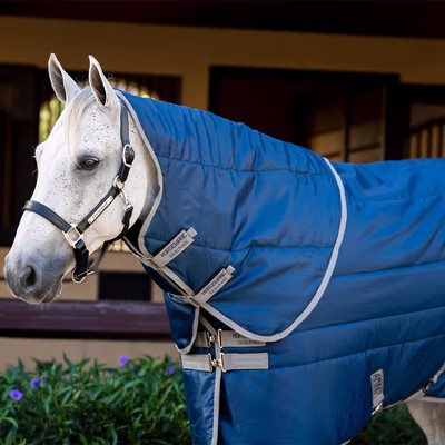 Horseware Amigo Ripstop Insulator Stable Hood 100g
