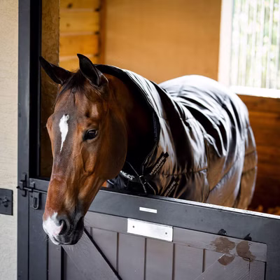 Horseware Amigo Ripstop Insulator Stable Hood 200g