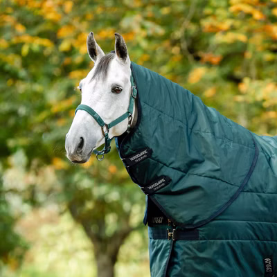 Horseware Amigo Ripstop Insulator Stable Hood 200g