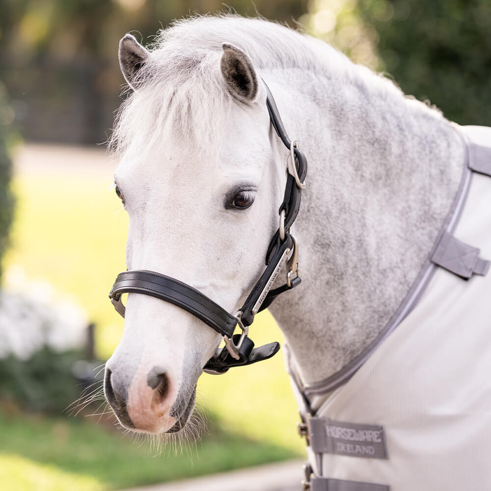 Meilleurs prix pour Horseware Amigo Bug Rug Pony