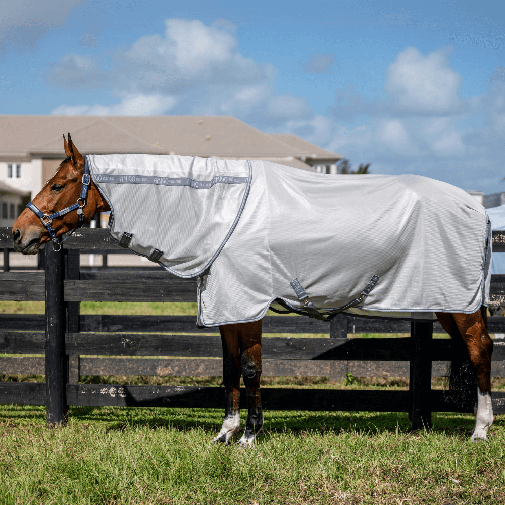 Comparer les prix de Horseware Amigo Bug Rug XL Plus