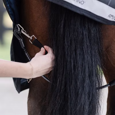 Horseware Elasticated Leg Straps