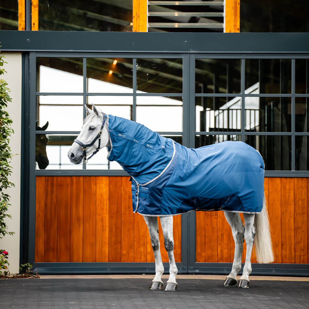 Het verstelbare halster voor Hobby Horse A3 - paars