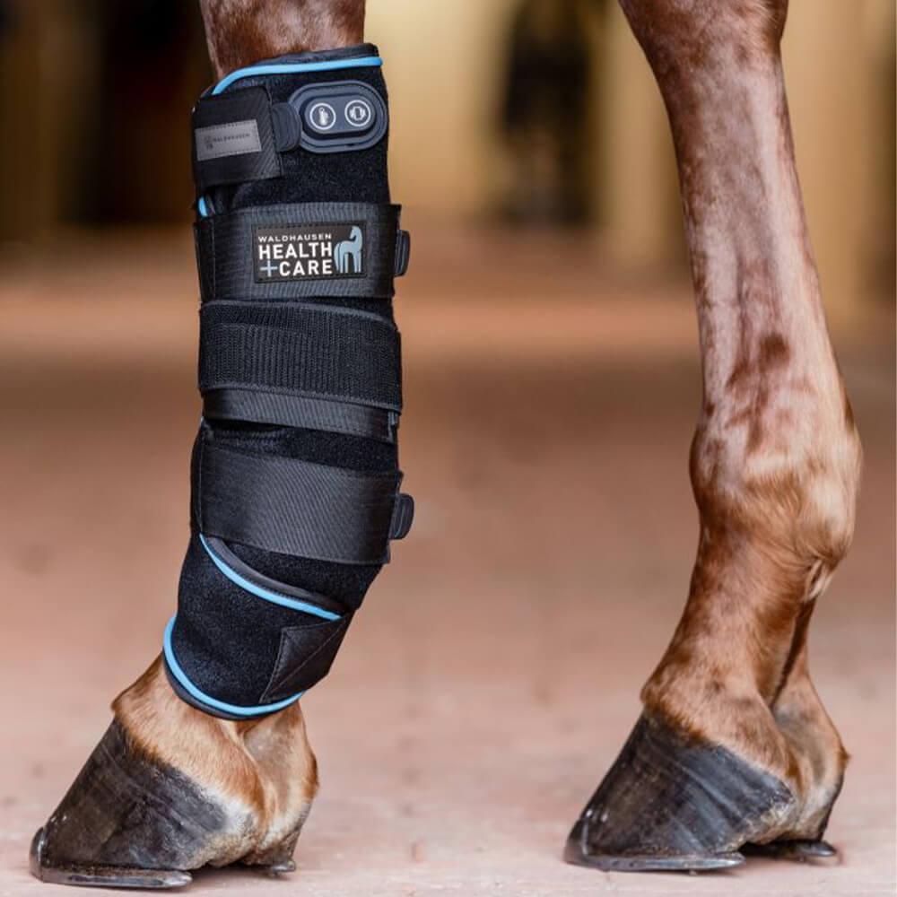 Guêtres pour cheval Waldhausen W-Health & Care