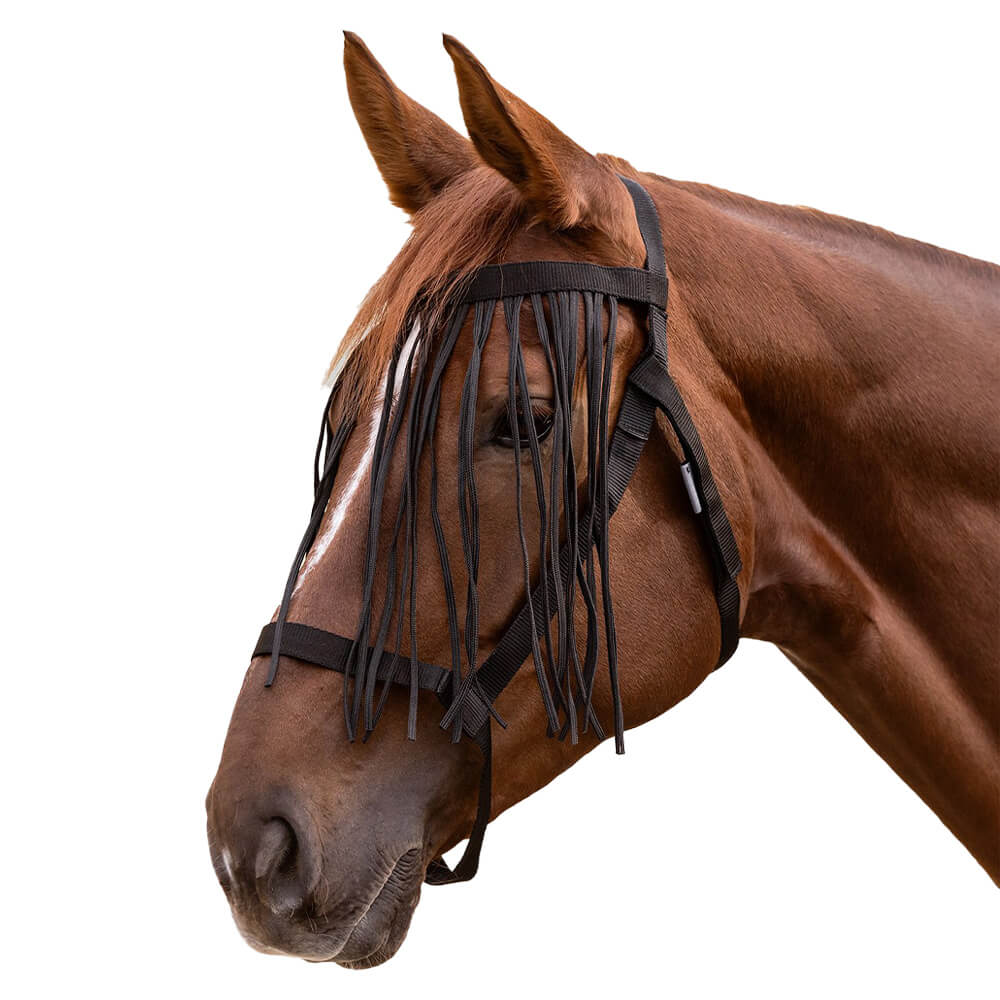 Meilleurs prix pour Licol de pâturage avec franges anti-mouches pour cheval Waldhausen