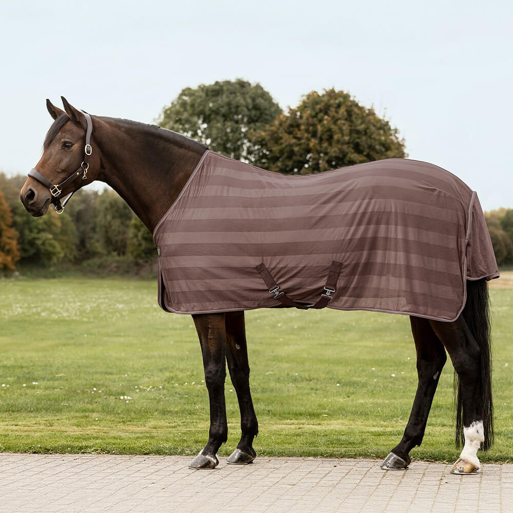 Comparer les prix de Couverture anti-mouches pour cheval Waldhausen Economic