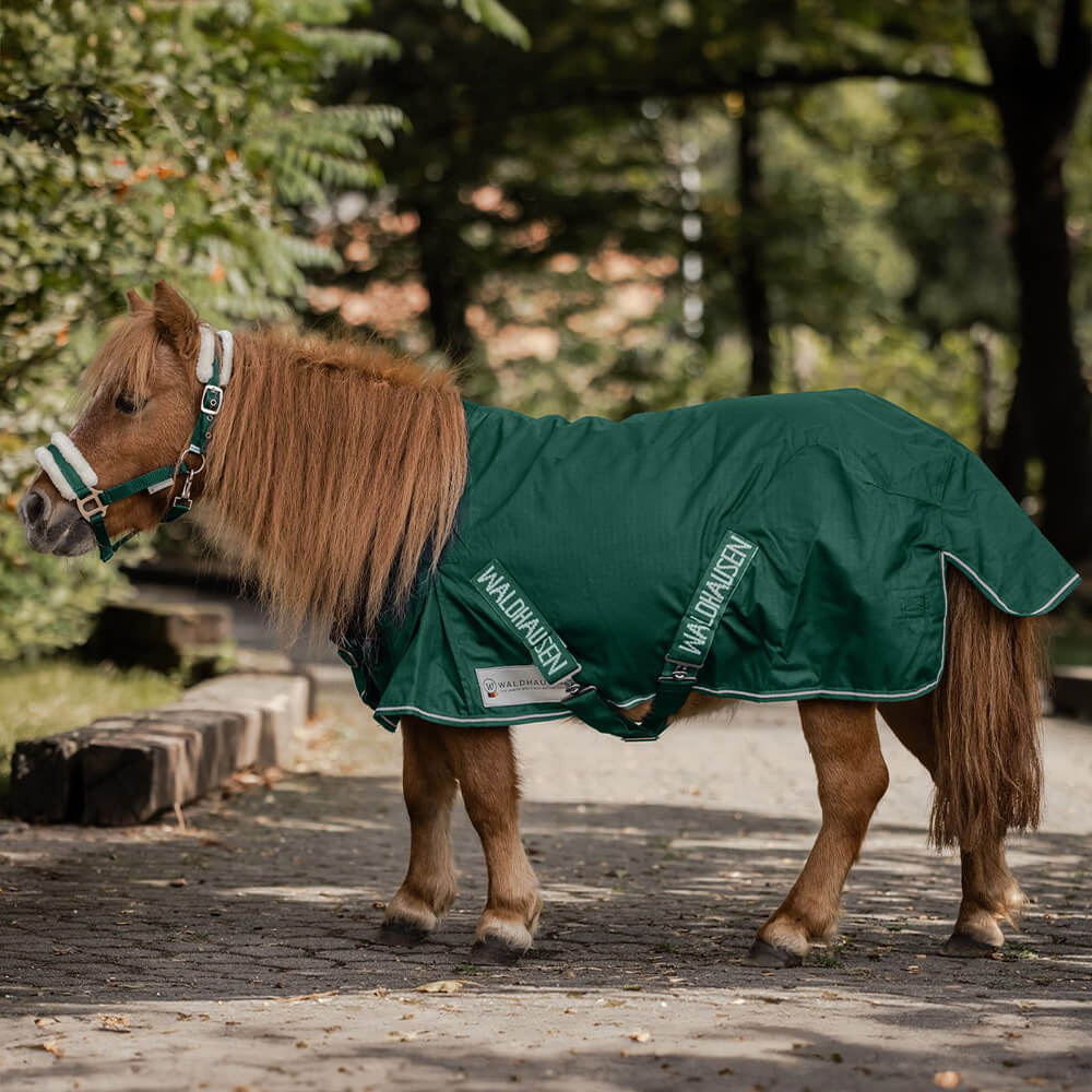 Couverture dextérieur pour cheval Waldhausen Shetty 100g - Vert - 80 cm