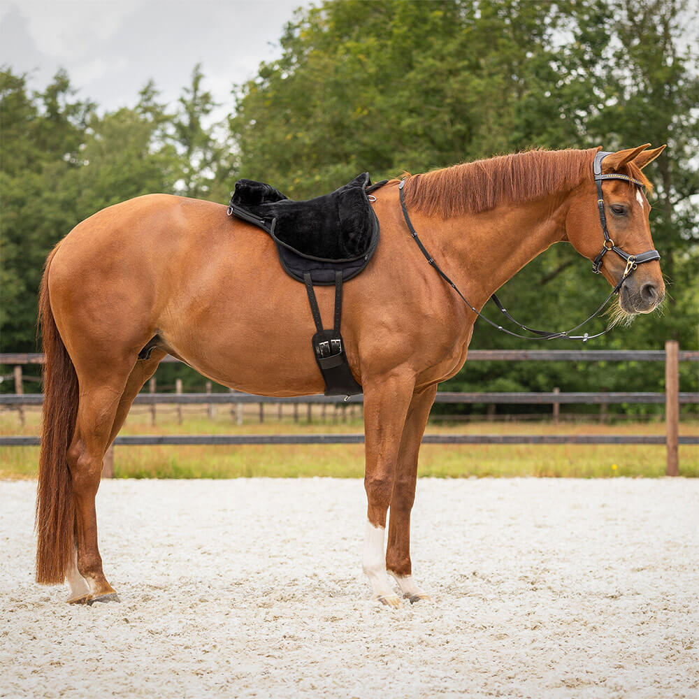 Tapis de monte à cru pour cheval QHP Super Soft